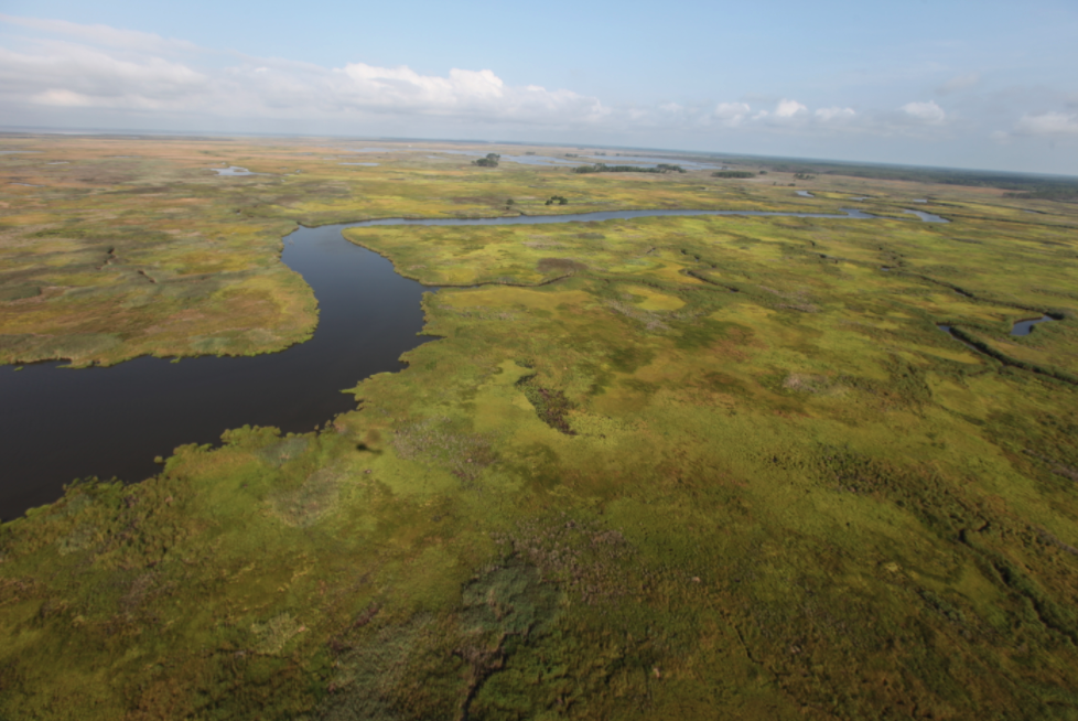 Delaware: Nanticoke River